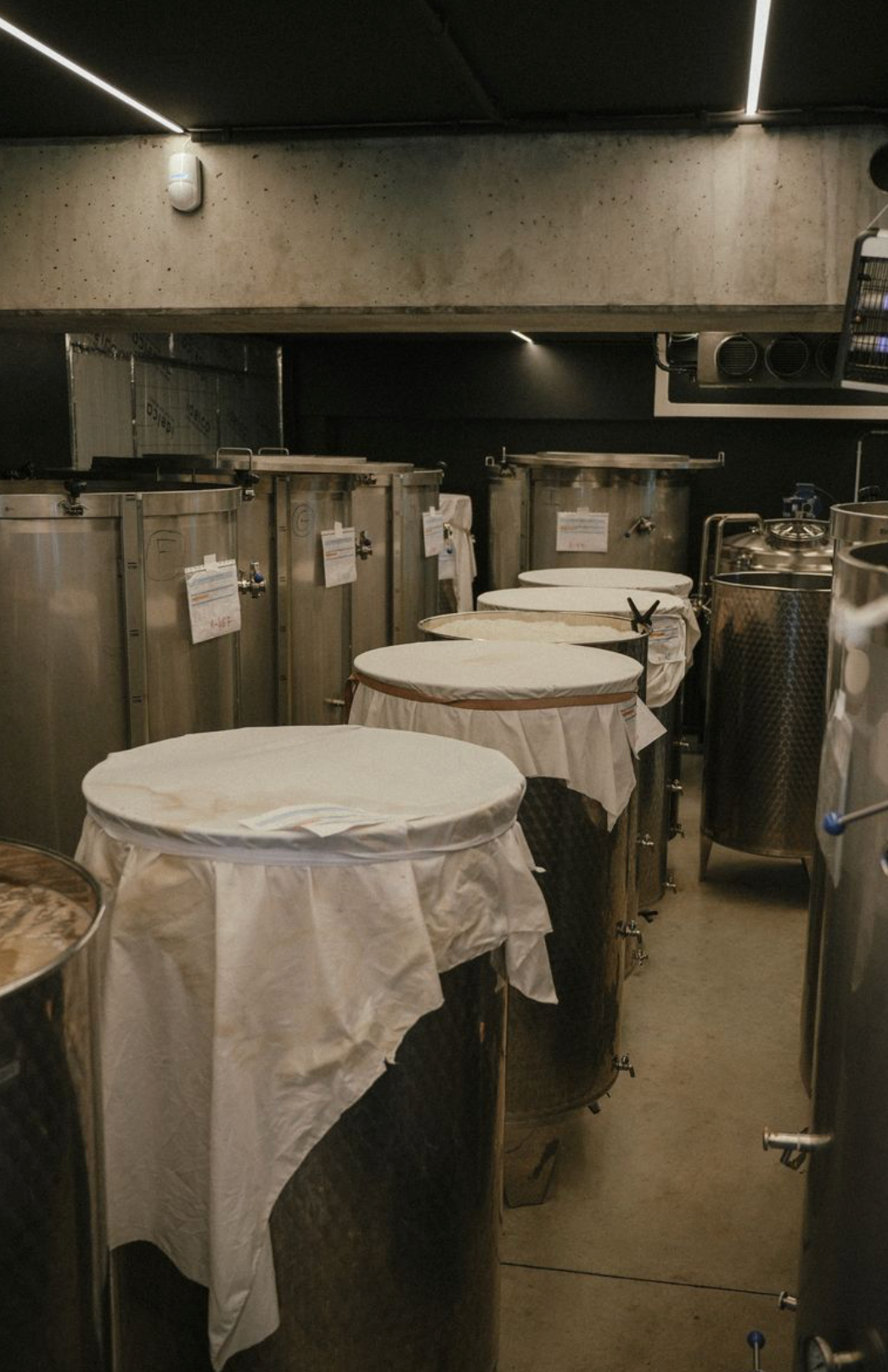 RISH LAB. - BREWERY TOUR DURING OPEN DOOR DAYS - 27.06.2026