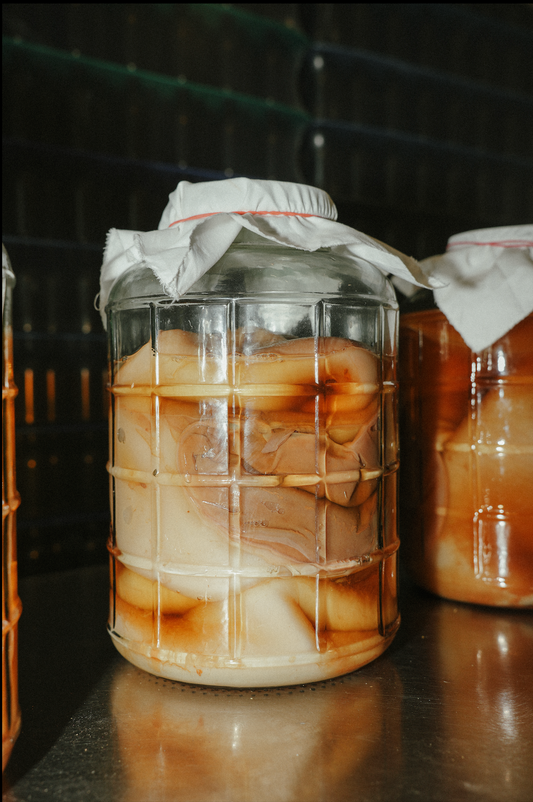 KOMBUCHA MASTERCLASS DURING OPEN DOOR DAYS - 27.06.2026